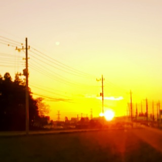 ₷݂̂Ƃ