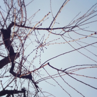 ڂ